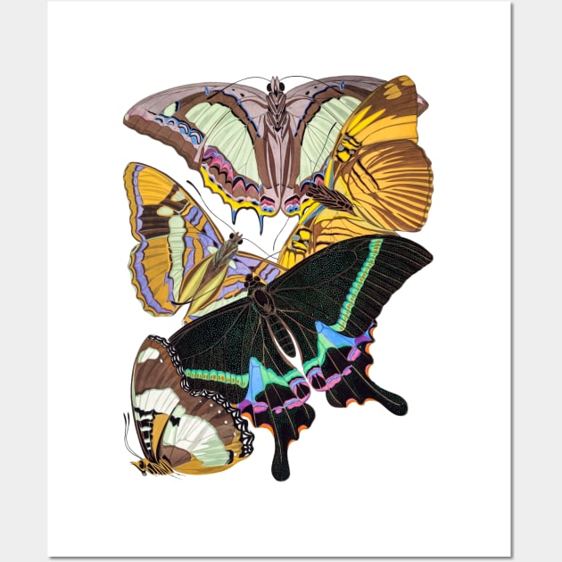 Butterflies Watercolor #5 Wall Art by olemanner